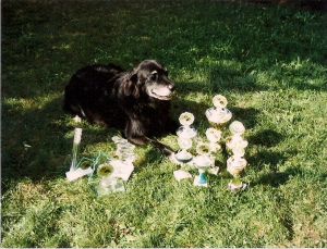 Tequila mit seinen Pokalen