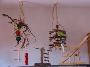 Gipsy und Jamie auf den Spielplat